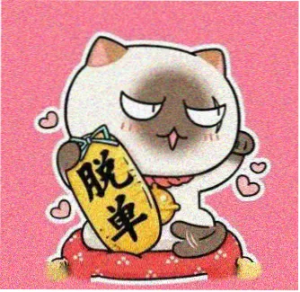 追风少年